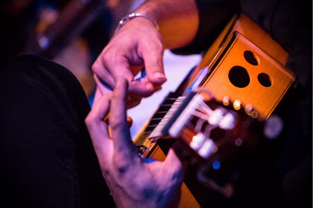 espectaculo guitarras española