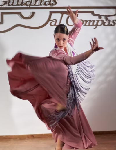 Detalle de las manos y brazos de cristina gallo expresando arte flamenco