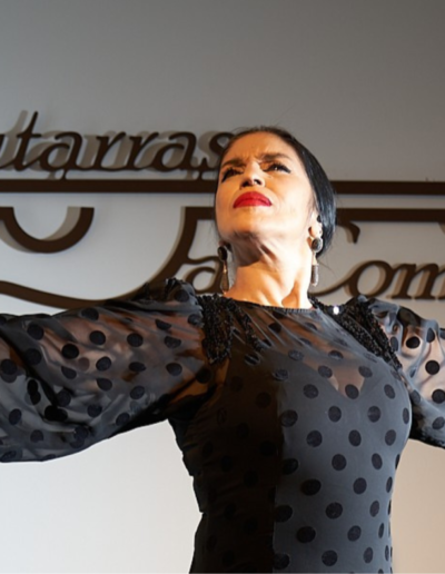 Luisa Chicano pasión del flamenco andaluz en su baile