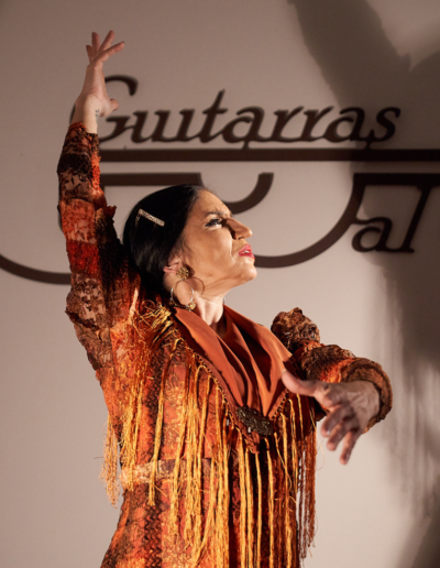 Detalle de las manos y brazos de Luisa Chicano expresando arte flamenco