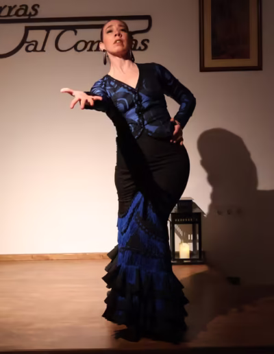 Flamenco con Rocío Suárez